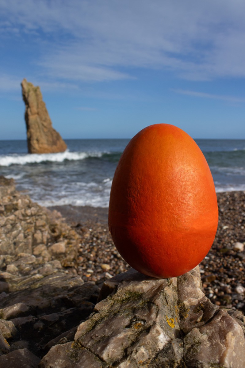 The soul egg of the Scottish mermaid (Ceasg)